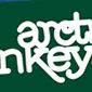 Toekomstmuziek: Arctic Monkeys