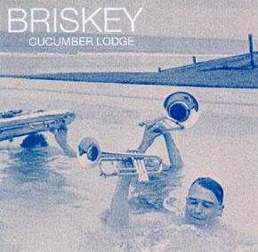 Briskey - Cucumber Lounge