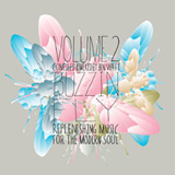 Buzzin Fly Volume 2