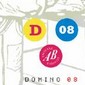 Domino 2008: de voorbeschouwing