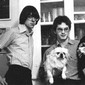 De wraak van The Feelies