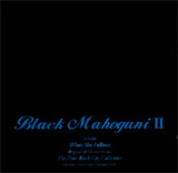 Pitch Black City: Black Mahogani II