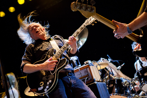 Swans