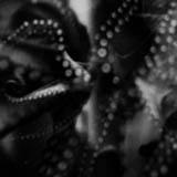 Delusion of Hope
